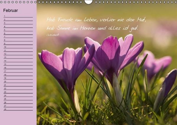 Produktbild: Blumengartenjahr - Geburtstagskalender mit sch&ouml;nen Zitaten (Wandkalender immerw&auml;hrend DIN A3 quer)