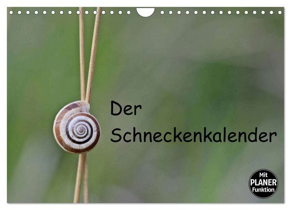 Der Schneckenkalender (Wandkalender 2026 DIN A4 quer), CALVENDO Monatskalender