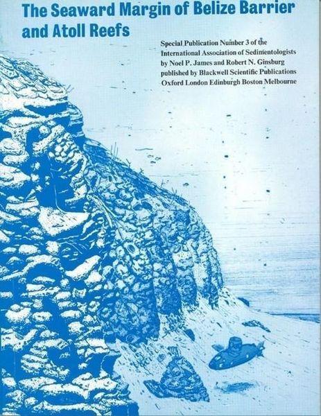 Produktbild: The Seaward Margin of the Belize Barrier and Atoll Reefs