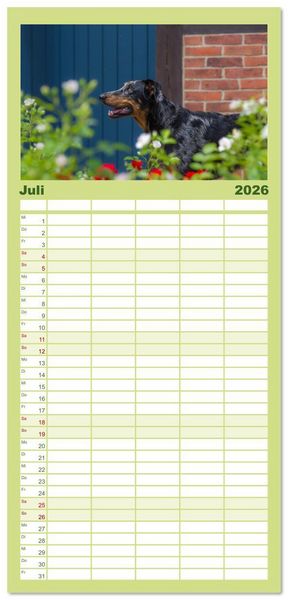 Produktbild: Familienplaner 2026 - Der Beauceron mit 5 Spalten (Wandkalender, 21 x 45 cm) CALVENDO