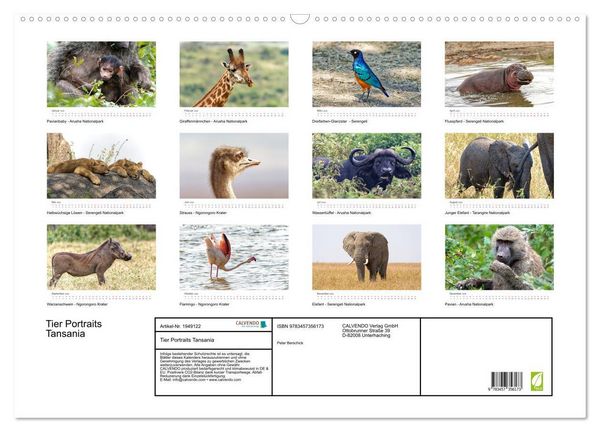 Produktbild: Tier Portraits Tansania (Wandkalender 2026 DIN A2 quer), CALVENDO Monatskalender