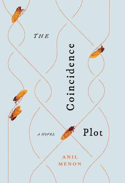 Produktbild: The Coincidence Plot