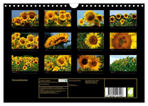 Produktbild: Sonnenblumen (Wandkalender 2027 DIN A4 quer), CALVENDO Monatskalender