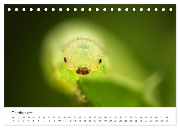 Produktbild: Der etwas andere Blickwinkel (Tischkalender 2026 DIN A5 quer), CALVENDO Monatskalender