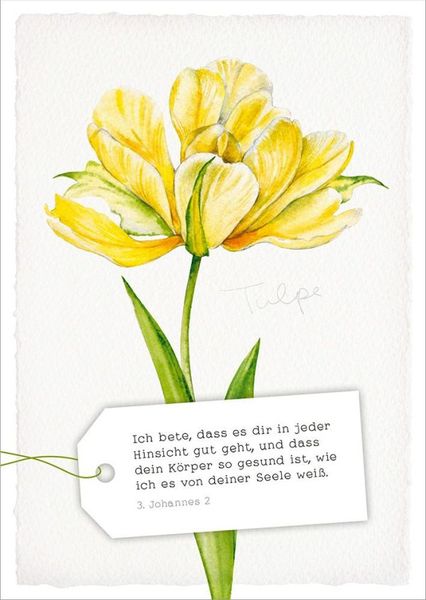 Produktbild: GartenGl&uuml;ck - Postkartenset