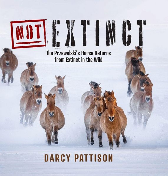 Produktbild: NOT Extinct