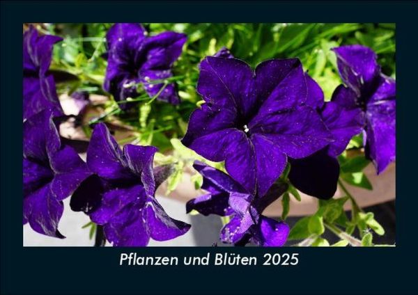Produktbild: Pflanzen und Bl&uuml;ten 2025 Fotokalender DIN A5