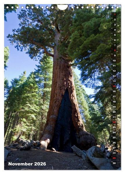 Produktbild: YOSEMITE VALLEY Natur Pur (Wandkalender 2026 DIN A4 hoch), CALVENDO Monatskalender