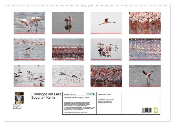 Produktbild: Flamingos am Lake Bogoria - Kenia (Wandkalender 2026 DIN A2 quer), CALVENDO Monatskalender