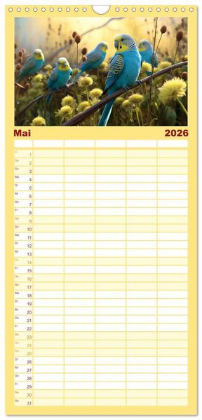 Produktbild: Familienplaner 2026 - Die Magie der Masse mit 5 Spalten (Wandkalender, 21 x 45 cm) CALVENDO