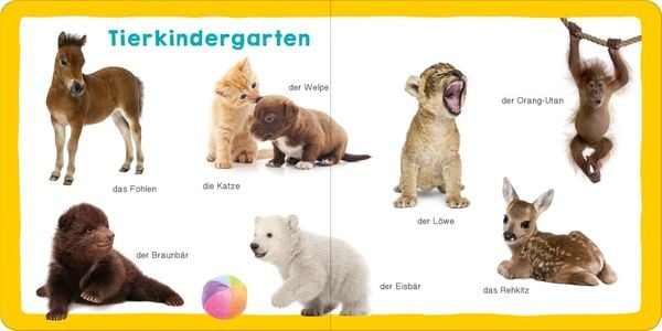 Produktbild: Meine ersten 100 Tiere