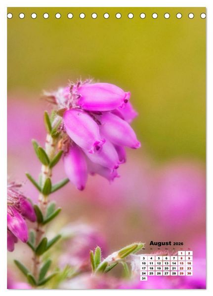 Produktbild: Spa&szlig; mit bunten Bl&uuml;mchen (Tischkalender 2026 DIN A5 hoch), CALVENDO Monatskalender