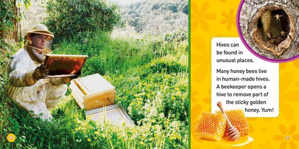 Produktbild: Explore My World: Honey Bees