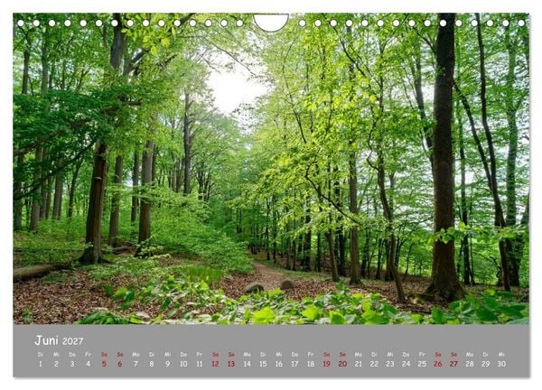 Produktbild: Biosph&auml;renreservat Schorfhede-Chorin (Wandkalender 2027 DIN A4 quer), CALVENDO Monatskalender