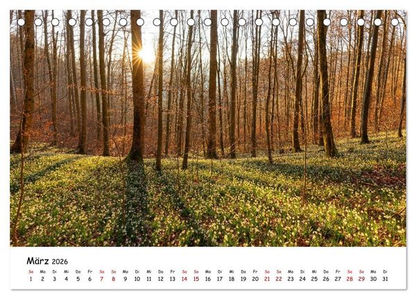 Produktbild: Faszination Schw&auml;bische Alb (Tischkalender 2026 DIN A5 quer), CALVENDO Monatskalender
