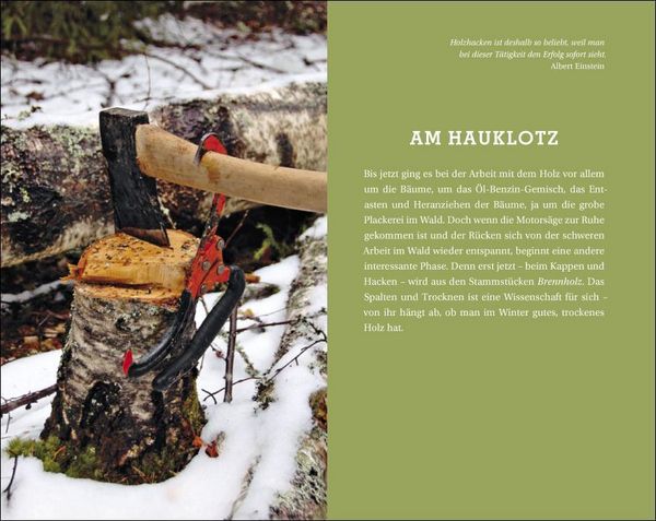 Produktbild: Der Mann und das Holz
