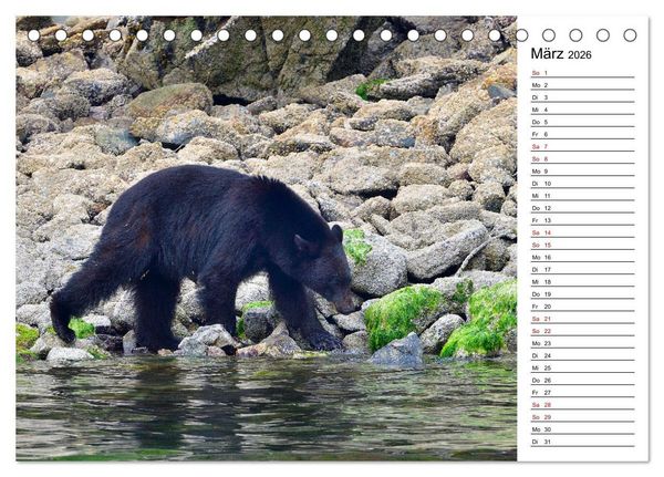 Produktbild: Vancouver Island - Perle im Kanadischen Westen (Tischkalender 2026 DIN A5 quer), CALVENDO Monatskalender