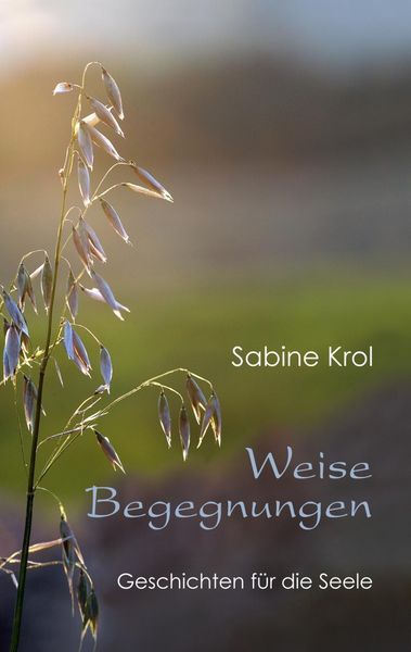 Produktbild: Weise Begegnungen - Geschichten f&uuml;r die Seele