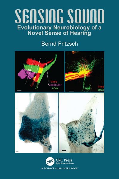 Produktbild: Sensing Sound