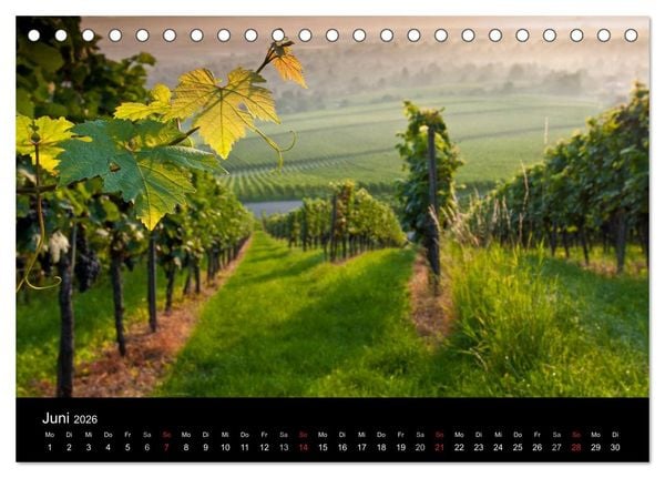 Produktbild: Weinberge im Remstal (Tischkalender 2026 DIN A5 quer), CALVENDO Monatskalender