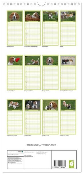 Produktbild: Familienplaner 2026 - DER BEAGLEige TERMINPLANER mit 5 Spalten (Wandkalender, 21 x 45 cm) CALVENDO