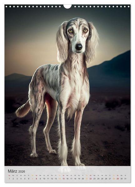 Produktbild: Persischer Windhund (Wandkalender 2026 DIN A3 hoch), CALVENDO Monatskalender
