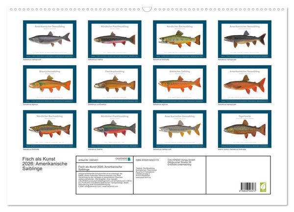 Produktbild: Fisch als Kunst 2026: Amerikanische Saiblinge (Wandkalender 2026 DIN A2 quer), CALVENDO Monatskalender