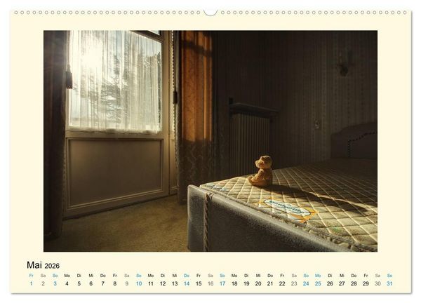 Produktbild: Herr B&auml;r urban explorer (Wandkalender 2026 DIN A2 quer), CALVENDO Monatskalender