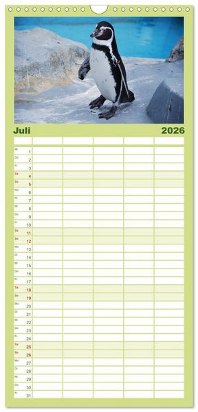 Produktbild: Familienplaner 2026 - Pinguine 2026 mit 5 Spalten (Wandkalender, 21 x 45 cm) CALVENDO