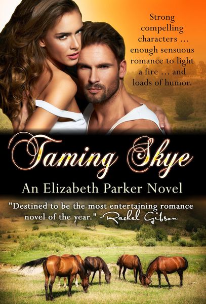 Produktbild: Taming Skye