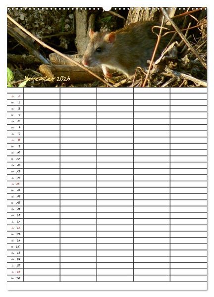 Produktbild: Bauernhoftiere Familienplaner (Wandkalender 2026 DIN A2 hoch), CALVENDO Monatskalender