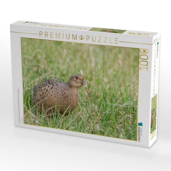 Produktbild: CALVENDO Puzzle Ein Motiv aus dem Kalender Emotionale Momente: Der Jagdfasan. | 1000 Teile Lege-Gr&ouml;&szlig;e 64x48cm Foto-Puzzle f&uuml;r gl&uuml;ckliche Stunden