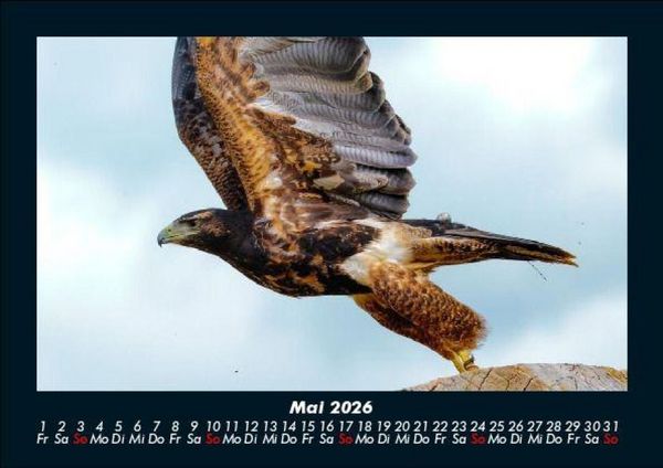 Produktbild: Vogelparadies 2026 Fotokalender DIN A5