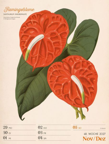 Produktbild: Ars Floralis Wochenplaner Kalender 2027