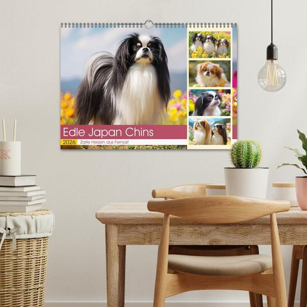 Produktbild: Edle Japan Chins. Zarte Herzen aus Fernost (Wandkalender 2026 DIN A3 quer), CALVENDO Monatskalender