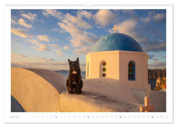 Produktbild: Inselkatzen (Wandkalender 2027 DIN A2 quer), CALVENDO Monatskalender