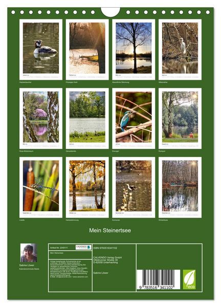 Produktbild: Mein Steinertsee (Wandkalender 2026 DIN A4 hoch), CALVENDO Monatskalender