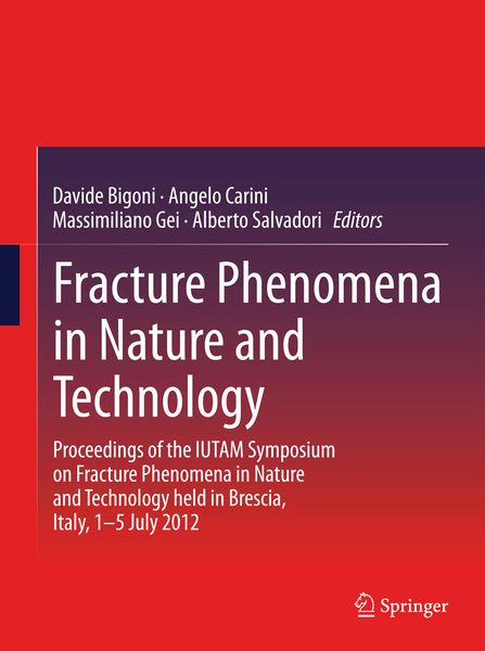 Produktbild: Fracture Phenomena in Nature and Technology