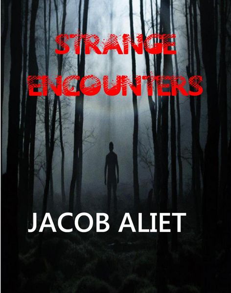 Produktbild: Strange Encounters