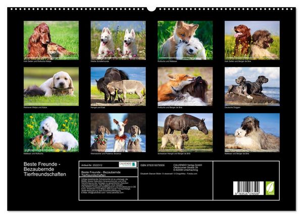 Produktbild: Beste Freunde - Bezaubernde Tierfreundschaften (hochwertiger Premium Wandkalender 2026 DIN A2 quer), Kunstdruck in Hochglanz