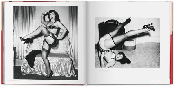Produktbild: The Big Book of Legs