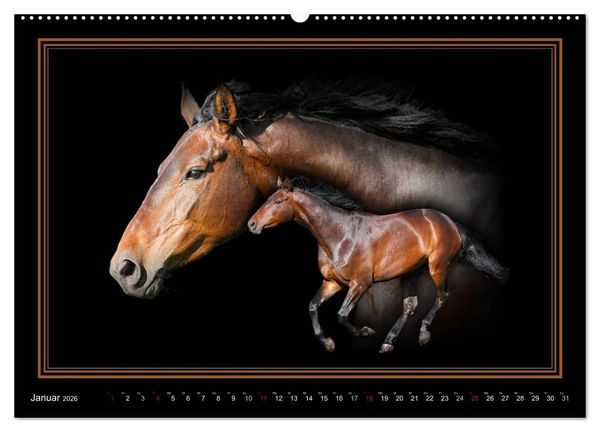 Produktbild: Traumpferde-ART-Collection (hochwertiger Premium Wandkalender 2026 DIN A2 quer), Kunstdruck in Hochglanz