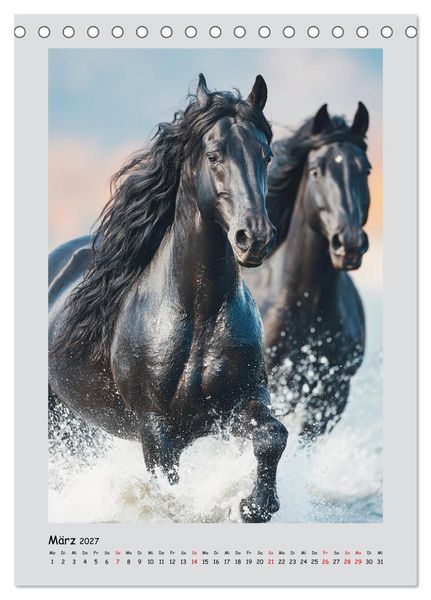 Produktbild: Friesenpferde. Schwarze Eleganz in der Natur (Tischkalender 2027 DIN A5 hoch), CALVENDO Monatskalender