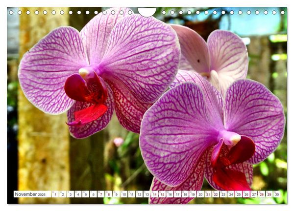 Produktbild: Naturjuwel Soroa - Ein St&uuml;ck vom Paradies auf Kuba (Wandkalender 2026 DIN A4 quer), CALVENDO Monatskalender