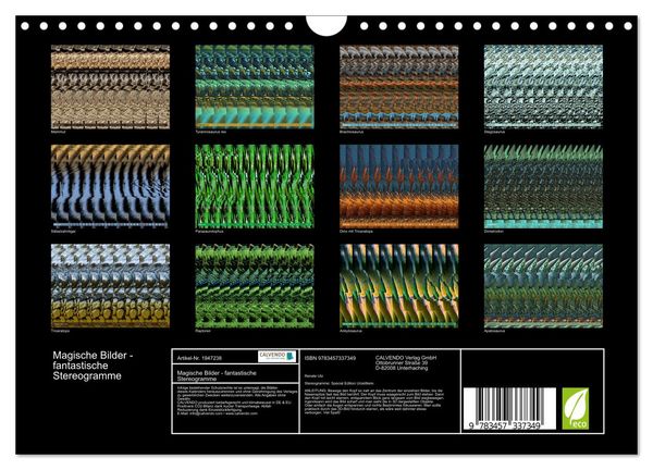 Produktbild: Magische Bilder - fantastische Stereogramme (Wandkalender 2026 DIN A4 quer), CALVENDO Monatskalender