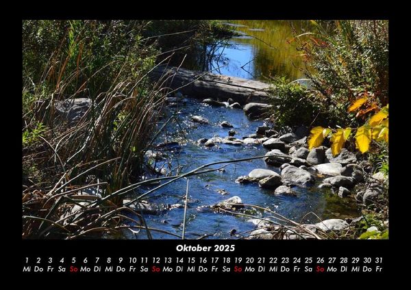 Produktbild: Pflanzen und Bl&uuml;ten 2025 Fotokalender DIN A3