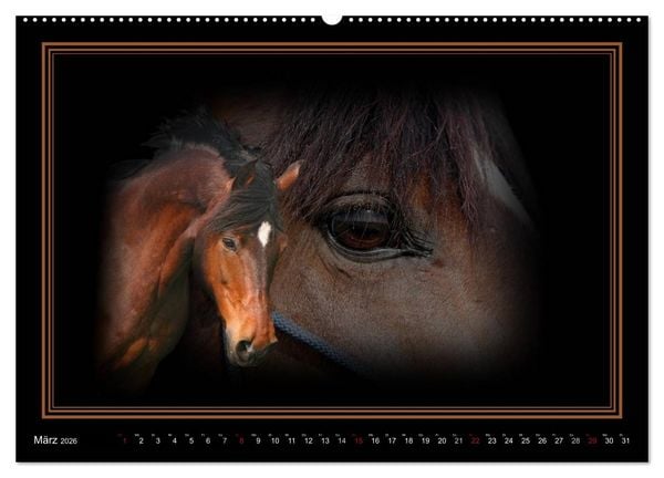 Produktbild: Traumpferde-ART-Collection (Wandkalender 2026 DIN A2 quer), CALVENDO Monatskalender