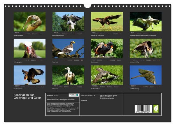 Produktbild: Faszination der Greifv&ouml;gel und Geier (Wandkalender 2026 DIN A3 quer), CALVENDO Monatskalender