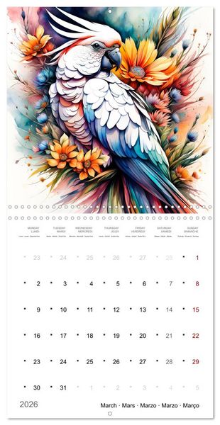 Produktbild: Des perroquets color&eacute;s (Calendrier mural carr&eacute; 2026 30x30 cm) Calendrier double avec une page pour vos prises de notes