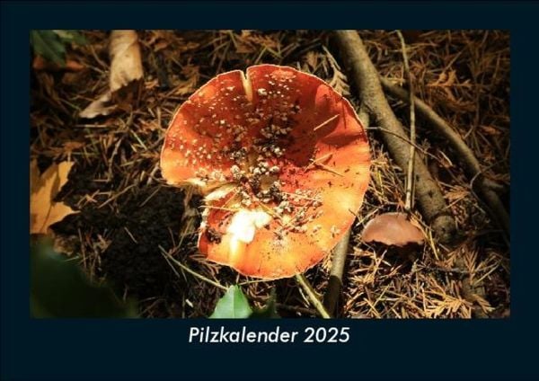 Produktbild: Pilzkalender 2025 Fotokalender DIN A5